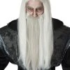 California Costume Collection Adult Dark Wizard Wig And Beard Set