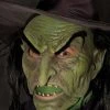 Zagone Studios Adult Wicked Witch Mask