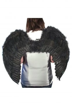 H.M. Smallwares Black Feather Angel Wings