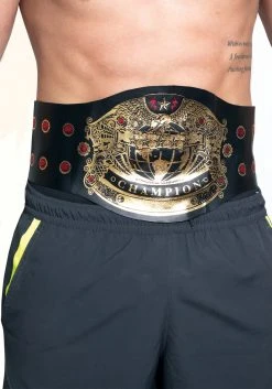 Fun World Wrestling Champion Belt