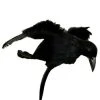 Western Fashion Halloween Crow Headband