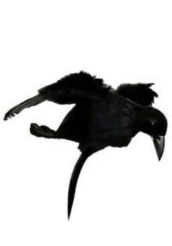 Western Fashion Halloween Crow Headband