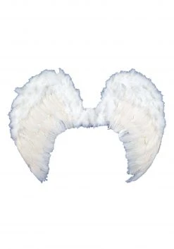H.M. Smallwares Feather Angel Wings