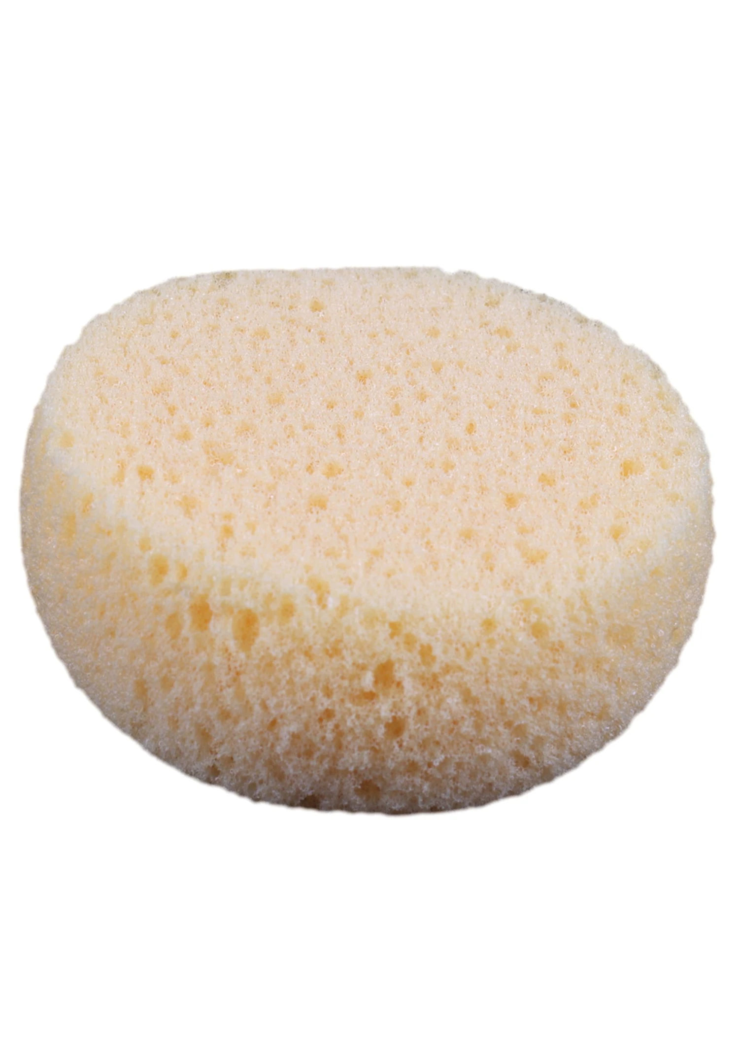 Mehron Inc Foam Hydra Sponge Applicator 1 Mehron Inc Foam Hydra Sponge Applicator