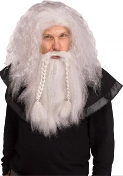 Fun World Gray Wizard Wig And Beard Adult Set