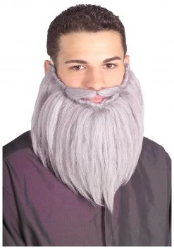 Rubies Costume Co. Inc Grey Wizard Beard And Mustache