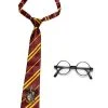 BuyCostumes Deluxe Harry Potter Accessory Set