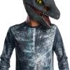 Rubies Costume Co. Inc Kids Jurassic World 2 Blue Velociraptor 3/4 Mask