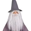 Rubies Costume Co. Inc Kids Gandalf Beard And Wig Set