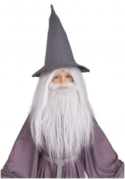 Rubies Costume Co. Inc Kids Gandalf Beard And Wig Set