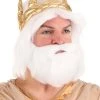 Partytime Costume & Lingerie (Yiwu) Factory Adult King Neptune Wig And Beard Set