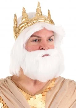 Partytime Costume & Lingerie (Yiwu) Factory Adult King Neptune Wig And Beard Set