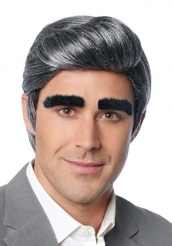 Costume Culture By Franco LLC Men's Johnny Wig And Eyebrows