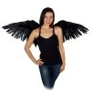 Zucker Feather Mocking Jay Wing 16x48" Black