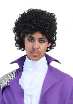 Partytime Costume & Lingerie (Yiwu) Factory Men's Purple Rock Legend Wig