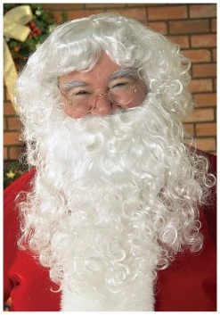 Rubies Costume Co. Inc Santa Wig And Beard