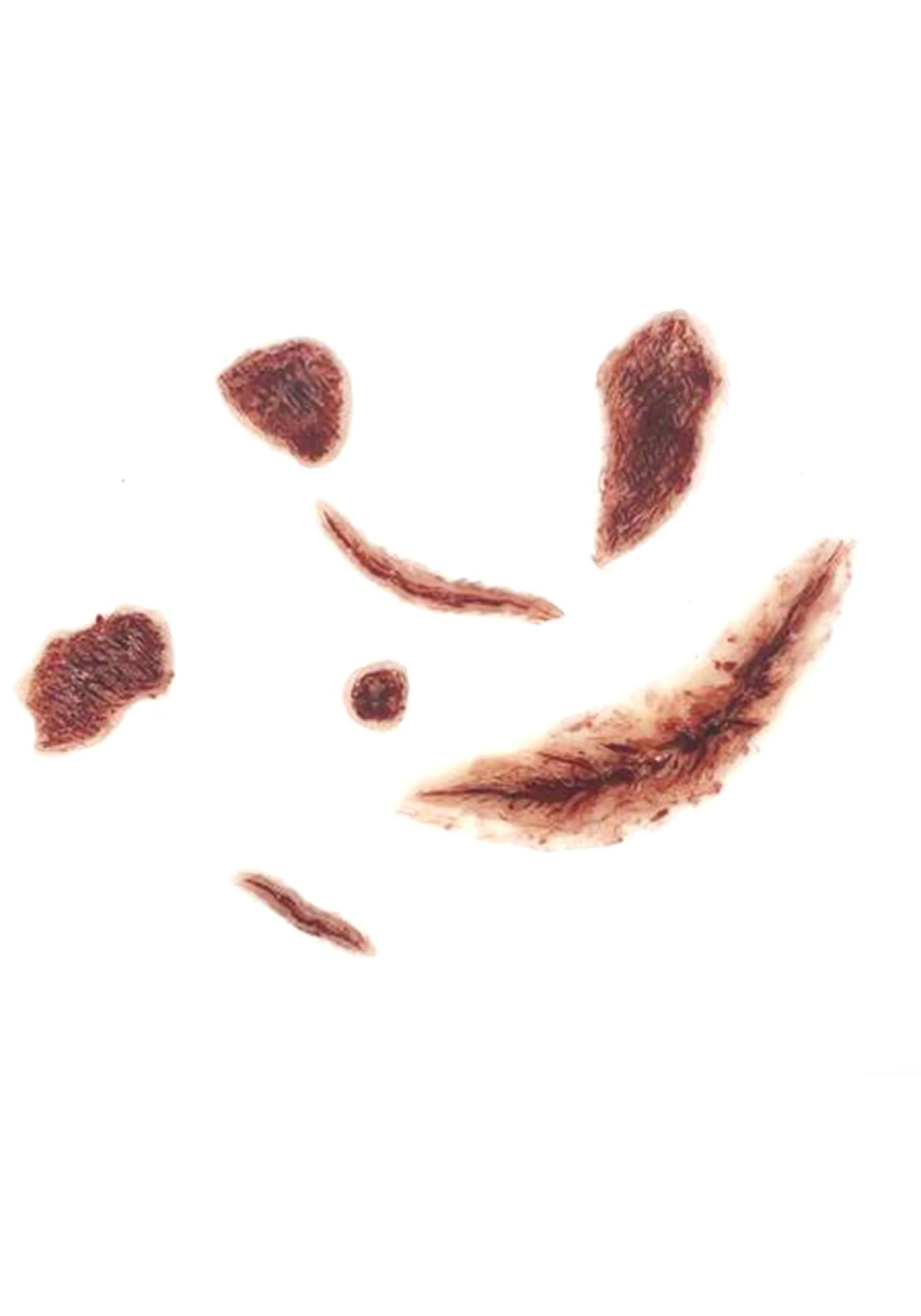 STICKFX 7-Piece Self-Adhering Wound Set 2 STICKFX 7-Piece Self-Adhering Wound Set - Image 2