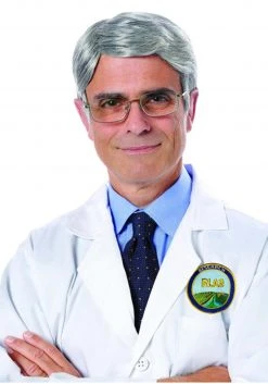 Costume Culture By Franco LLC Silver Fox Men's Wig