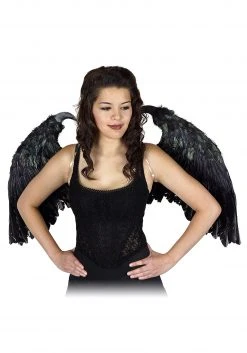 Zucker Feather Small Maleficent-Inspired Feather Wings